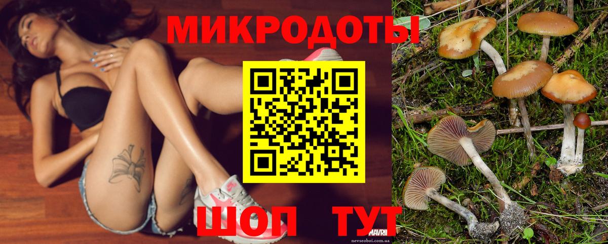 Новороссийск  Псилоцибиновые грибы мицелий  Вход с VPN 